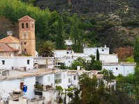 16948025730 2ed6c8f94a o03 copia  31